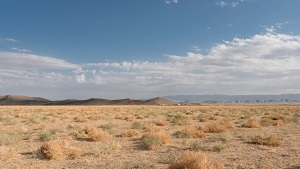 Өзбекстанда ЕАС куруу үчүн артыкчылыктуу аймакта эки миң жылдын аралыгында күчтүү жер титирөө катталган эмес