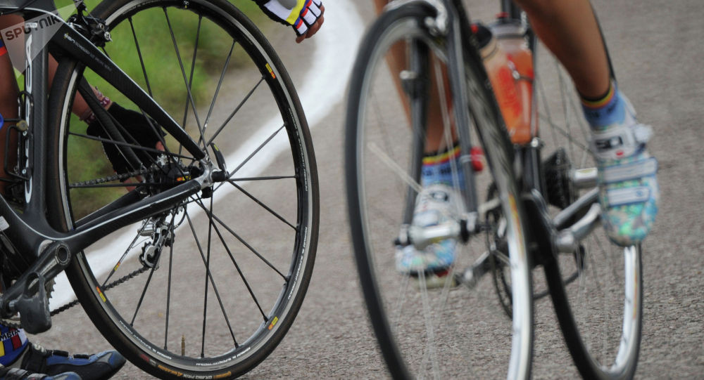"Манаска" кеткен жолдо автокырсыктан көз жумган эки велосипедчинин аты аталды
