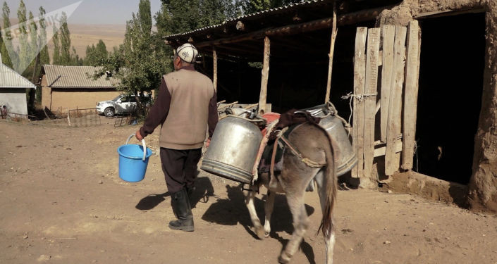 Келин болуп баргандан заарканышат. Суу көкөйгө тийген Папандагы айылдын видеосу